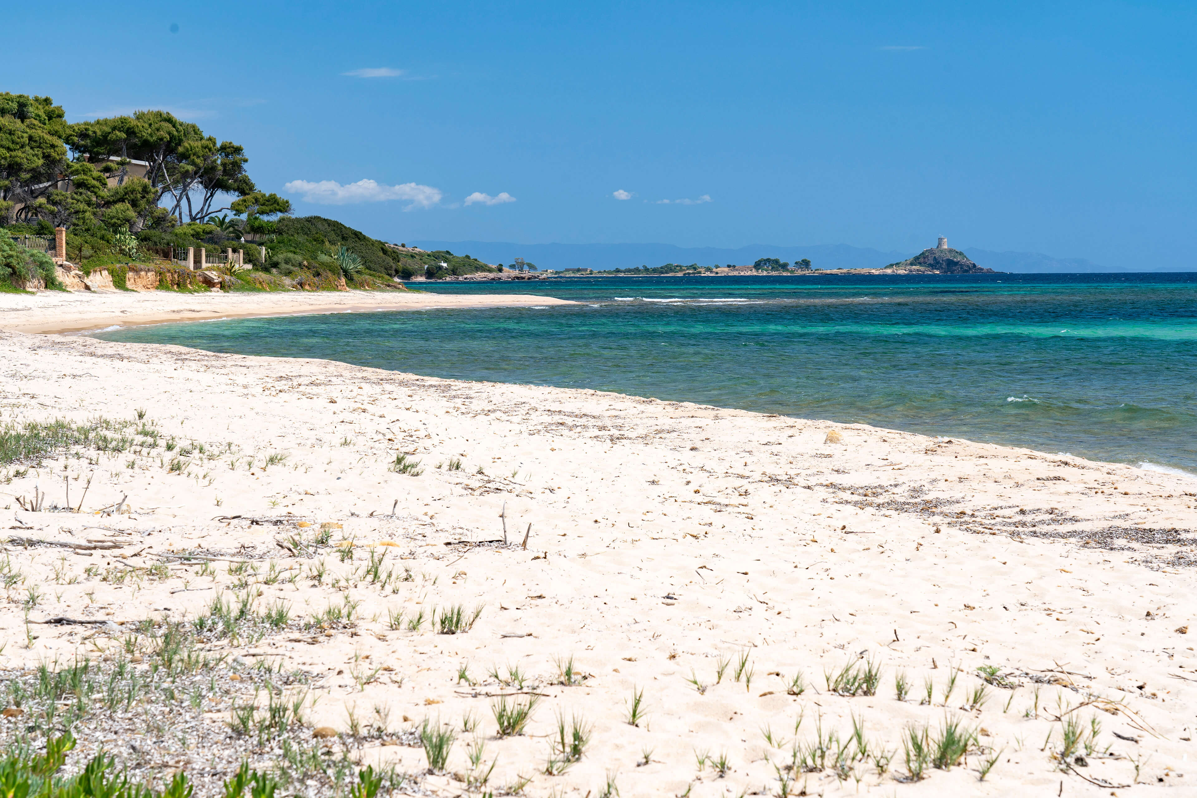 Visualizza la notizia: Foxi ‘e Sali