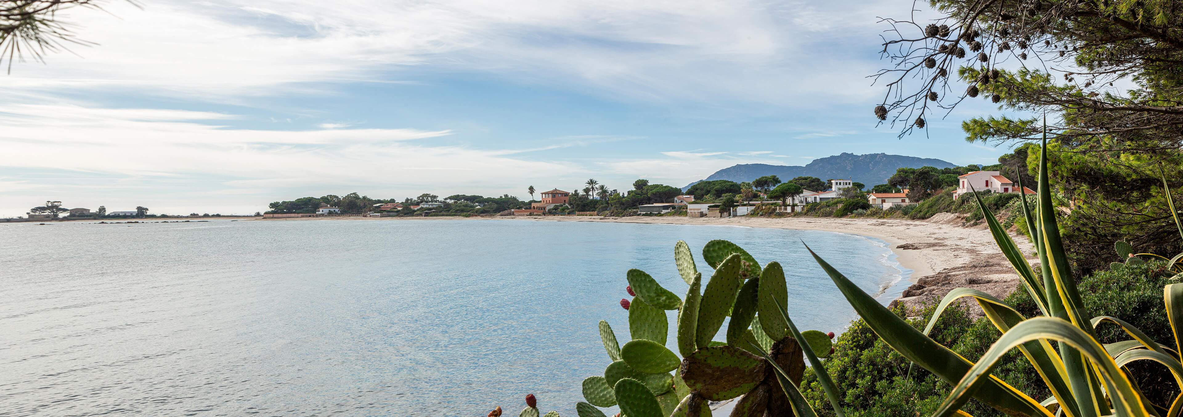 Visualizza la notizia: Su Guventeddu