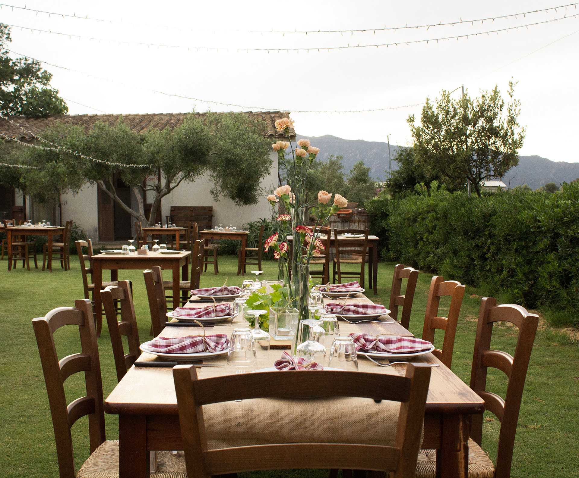 Visualizza la notizia: Azienda Agricola Sa Prantaxia