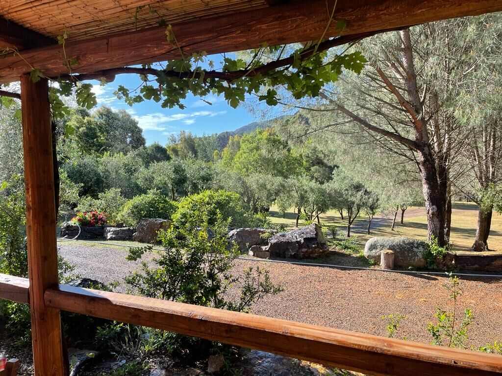 Visualizza la notizia: Agriturismo Su Lilloni