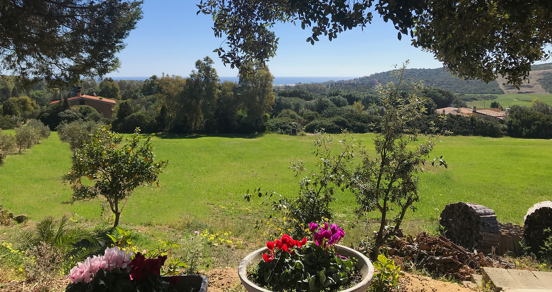 Visualizza la notizia: La rosa dei venti