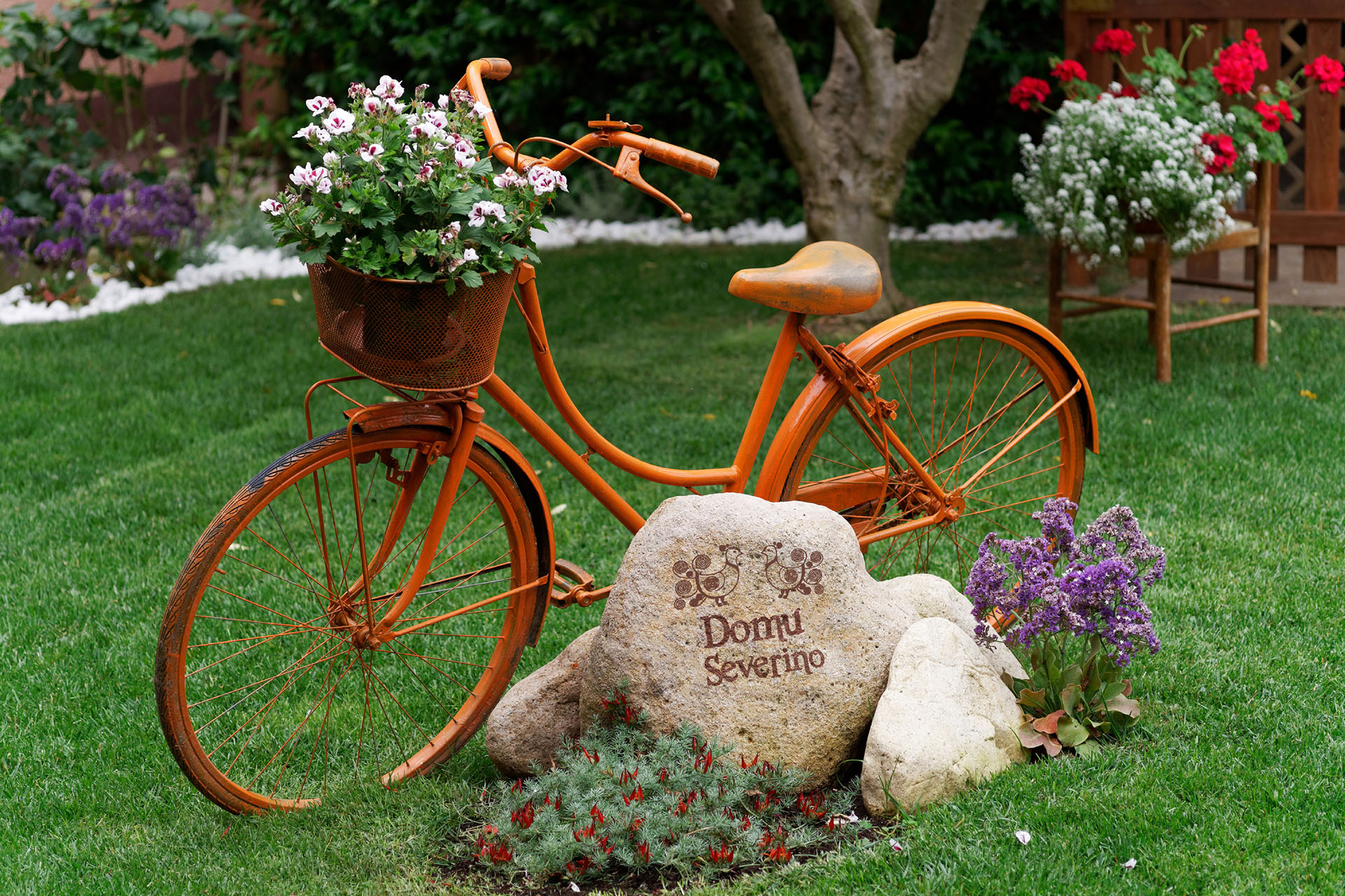 Visualizza la notizia: Domu Severino Camere