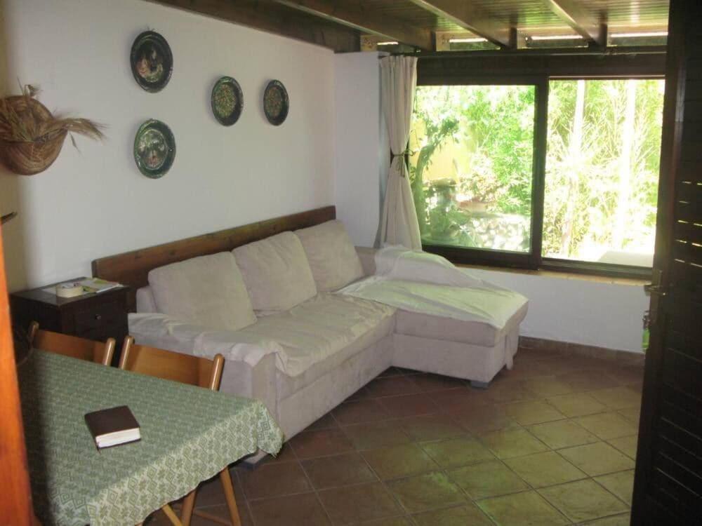 Visualizza la notizia: Domus La Pineta