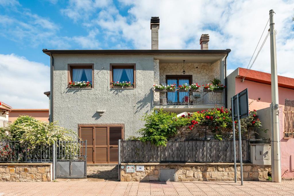 Visualizza la notizia: B&B Gerani Rossi