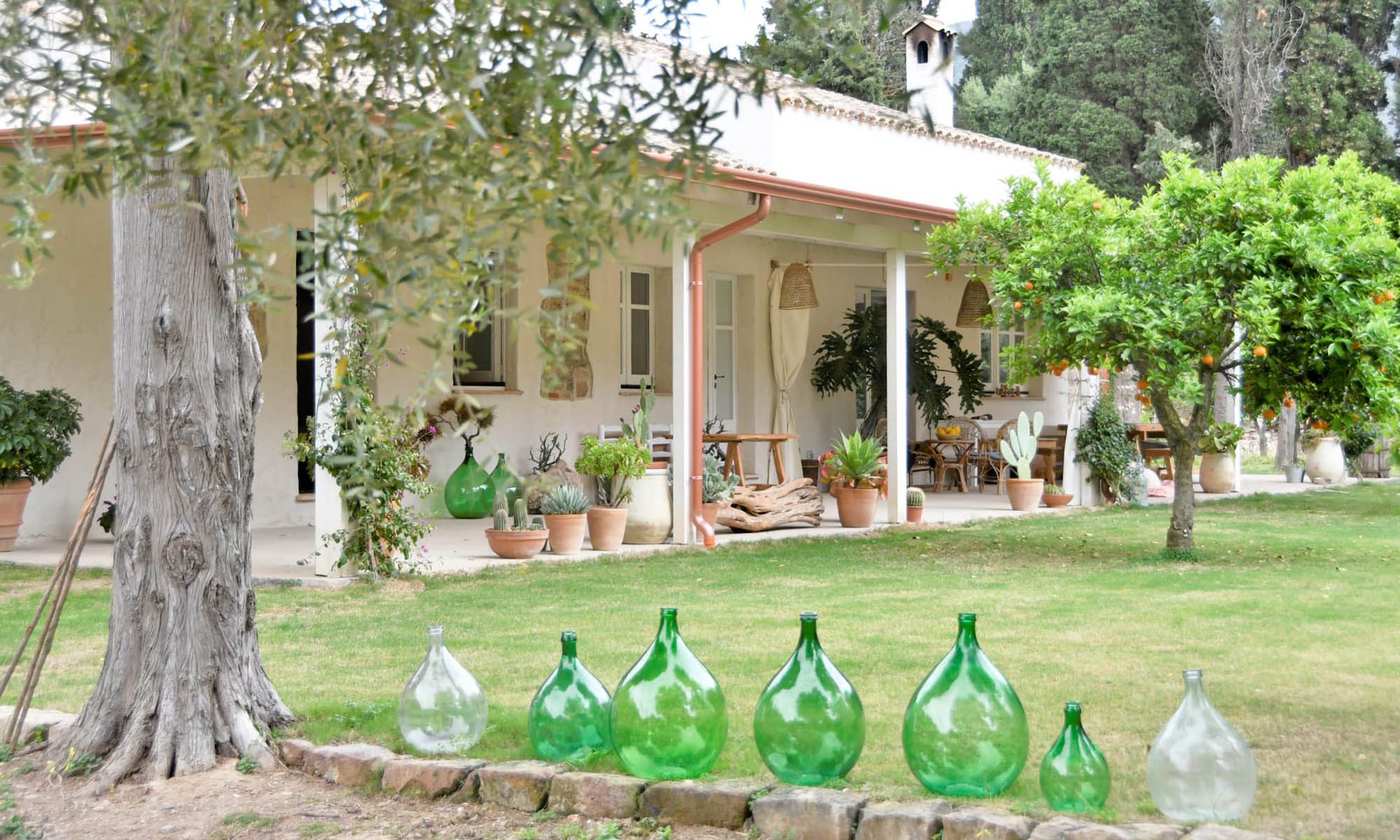 Visualizza la notizia: Giallo Limone