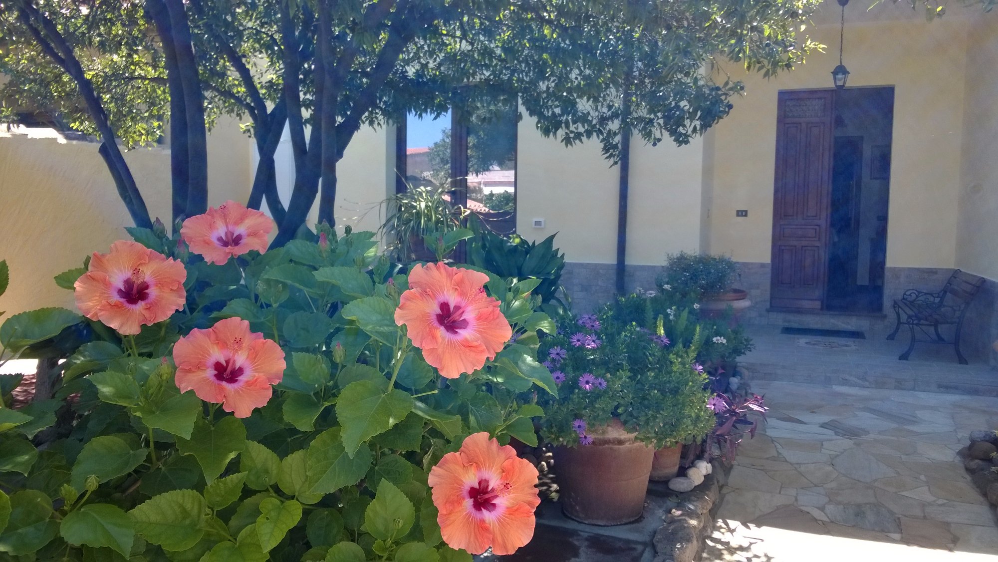 Visualizza la notizia: B&B Gli Agrumi