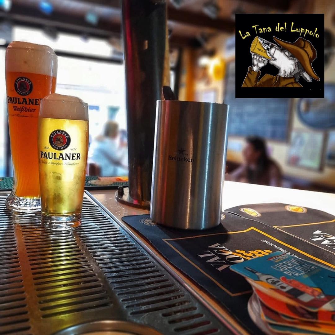 Visualizza la notizia: La tana del Luppolo