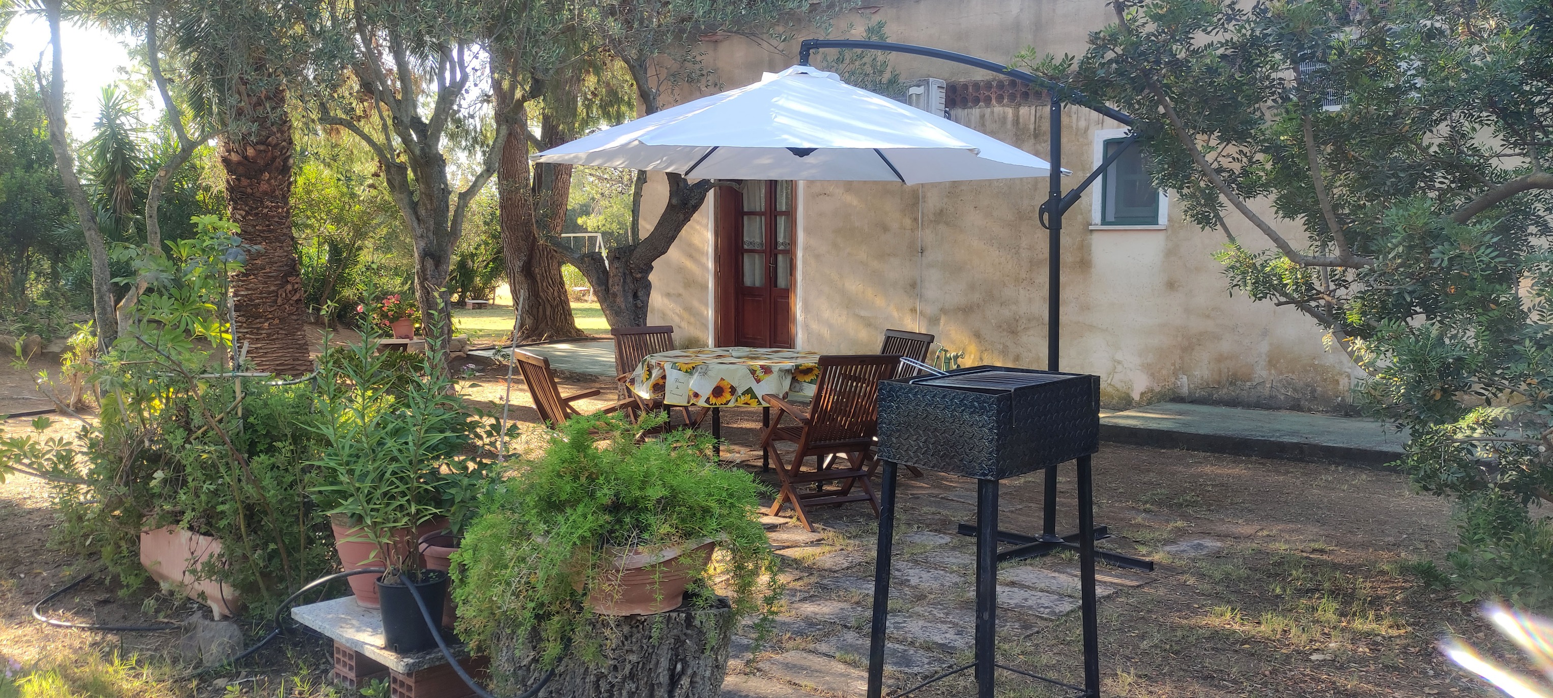 Visualizza la notizia: Le Cento Querce