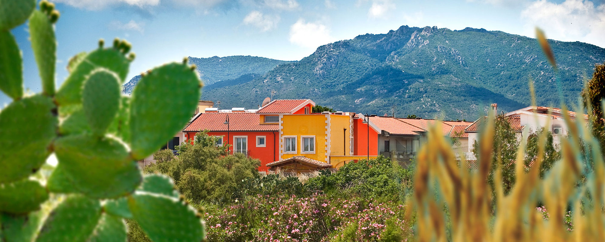 Visualizza la notizia: Marin Hotel