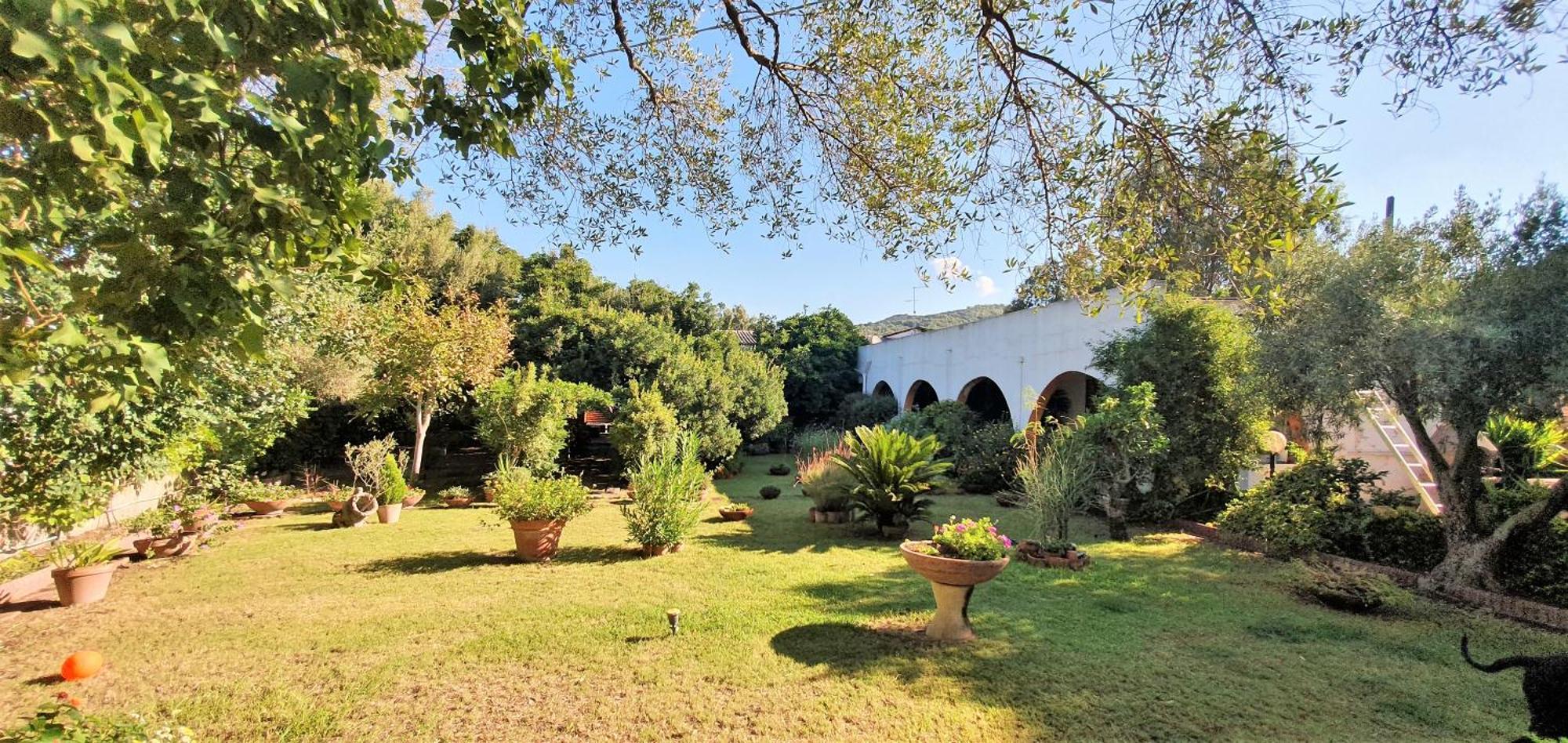 Visualizza la notizia: Su Narboni Mannu