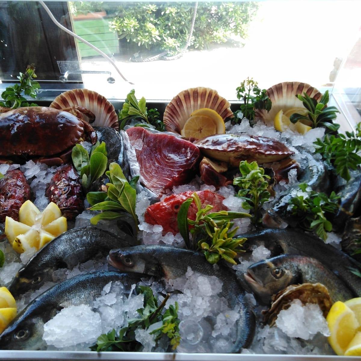 Visualizza la notizia: Ristorante Nora Beach Palm | Bar Pizzeria