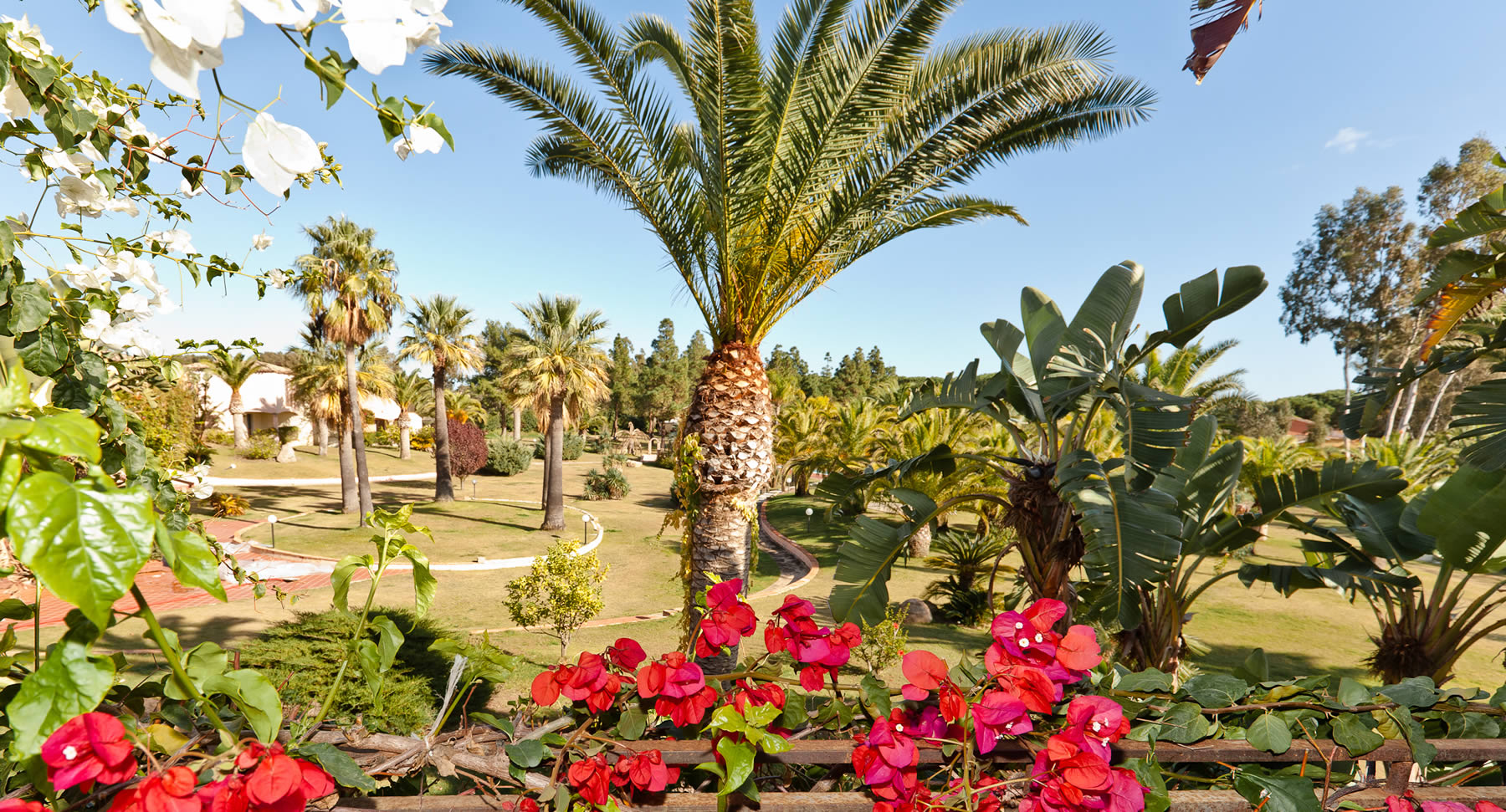 Visualizza la notizia: Baia delle Palme