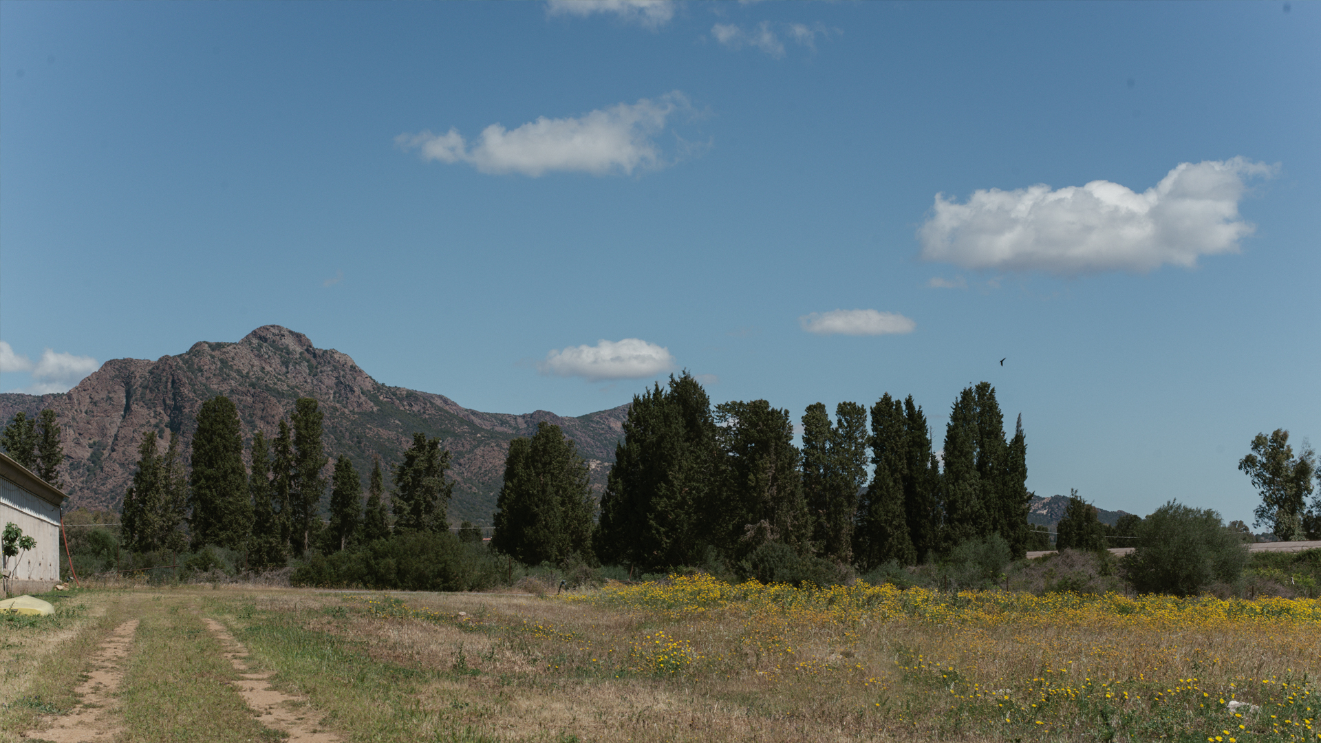 Visualizza la notizia: Agriturismo Tenuta Naturale