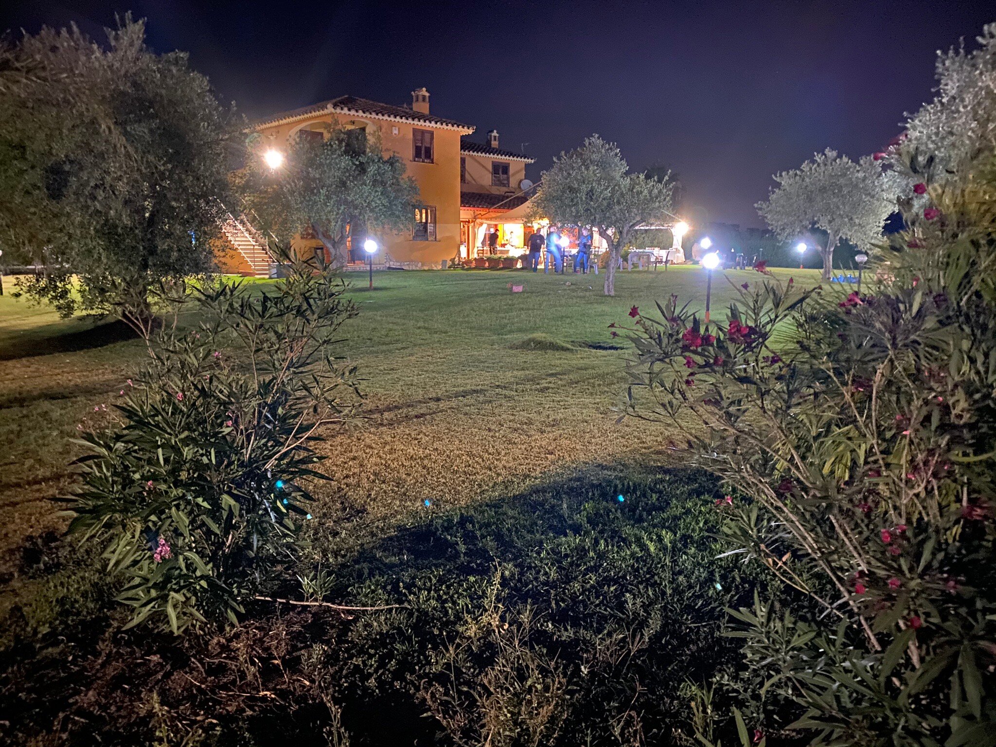 Visualizza la notizia: Turrita de Arrieras