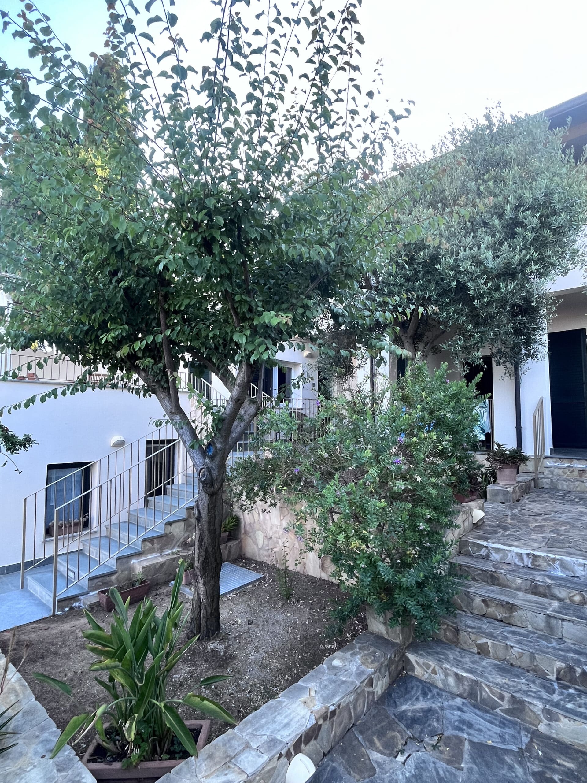 Visualizza la notizia: Villa fatta di sogni