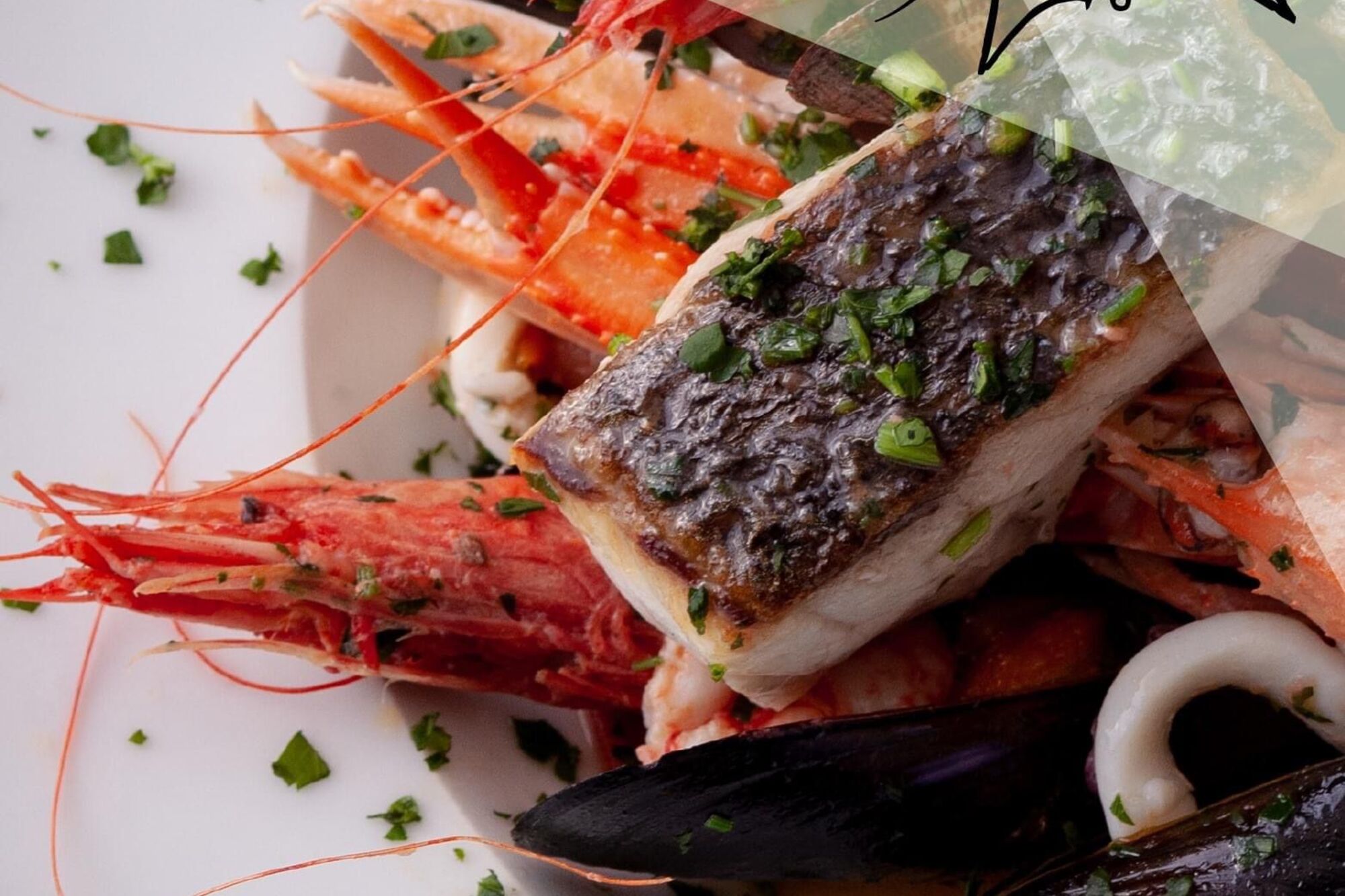 Visualizza la notizia: Zia Leunora